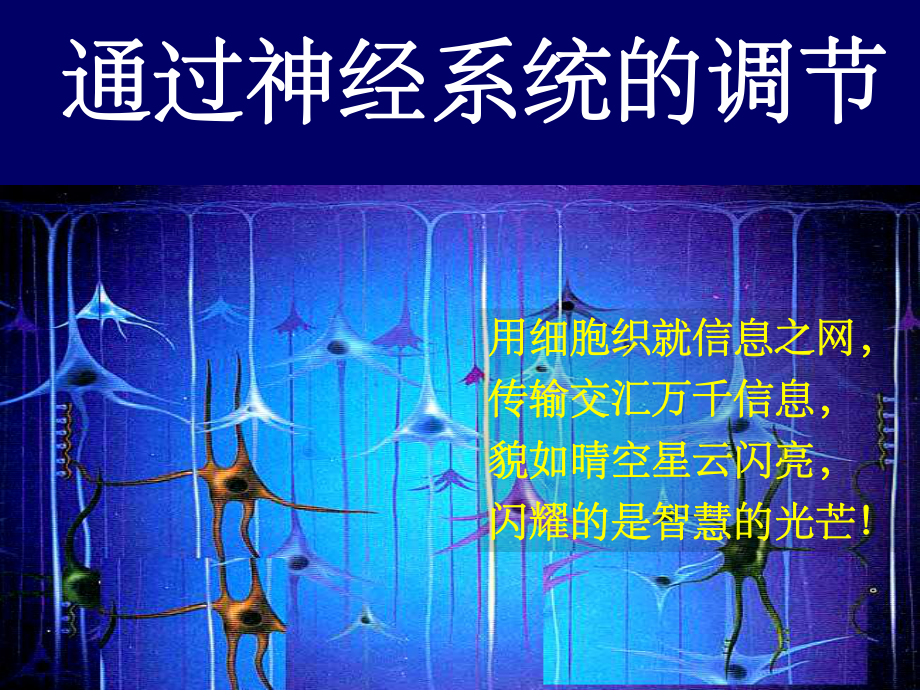 人教版教学课件第一节通过神经系统的调节.ppt_第1页