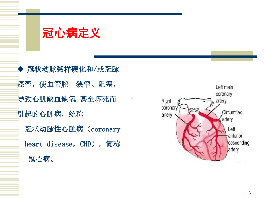 冠心病的诊断和规范化治疗课件.ppt_第3页