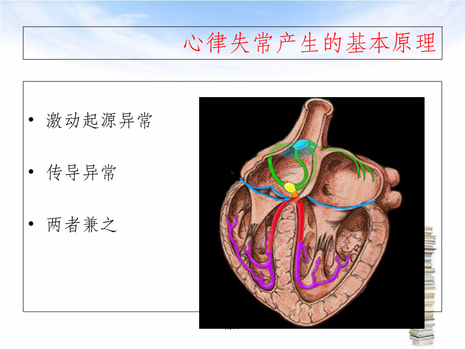 《小儿心律失常》课件.ppt_第2页