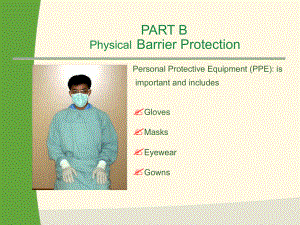 医学授课模板：消毒手套的使用和说明PhysicalB课件.ppt