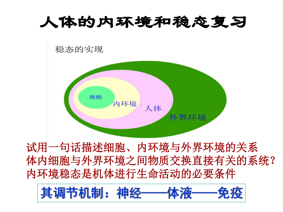 人体的内环境与稳态-人教课标版课件.ppt_第1页