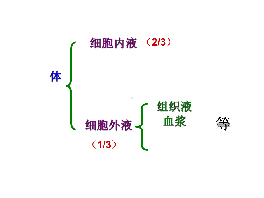 人体的内环境与稳态-人教课标版课件.ppt_第2页