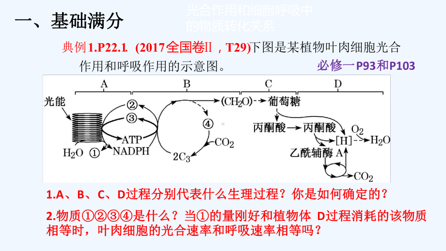 三细胞呼吸在生产生活中的应用课件.ppt_第3页