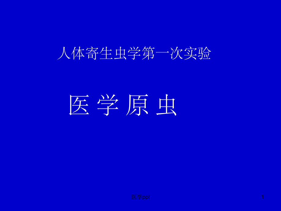 人体寄生虫学实验医学原虫实验课件.ppt_第1页