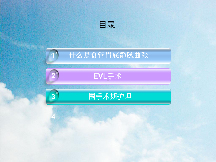 EVL围手术期护理课件模板.ppt_第2页