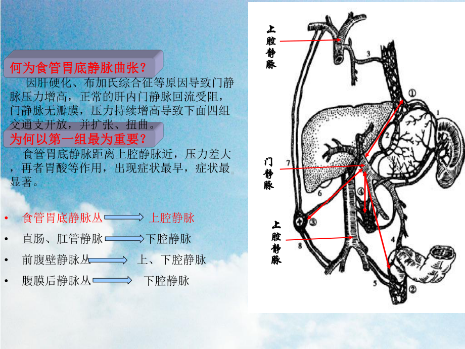 EVL围手术期护理课件模板.ppt_第3页