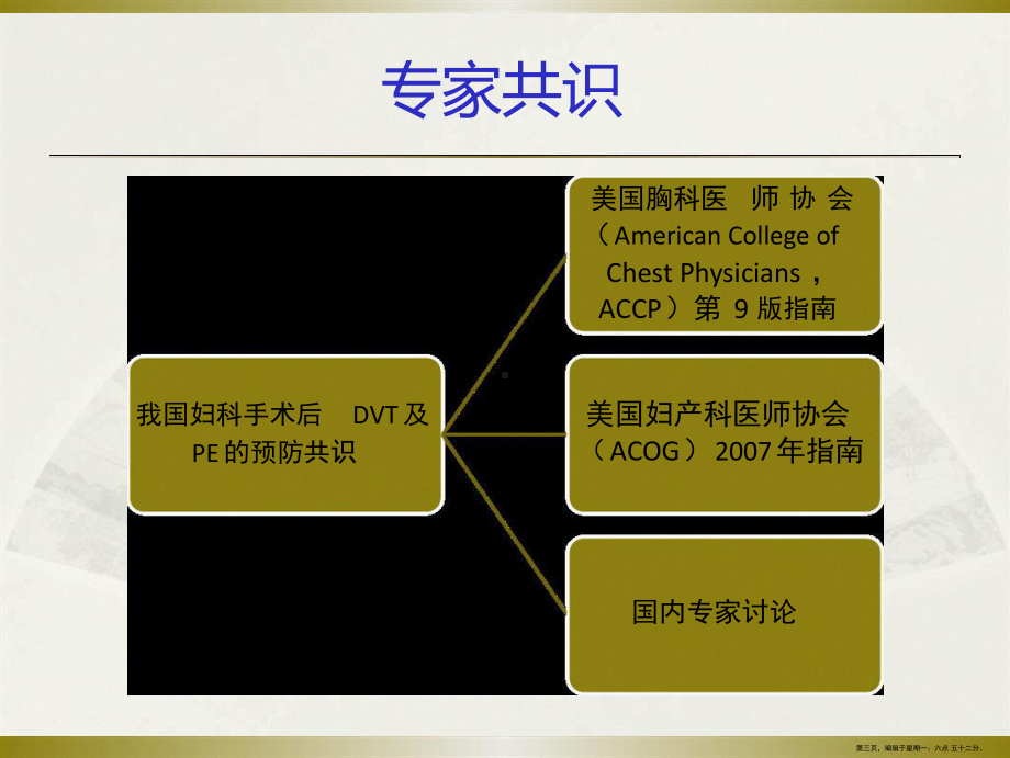 妇科手术后深静脉血栓形成及肺栓塞预防专家共识课件.ppt_第3页