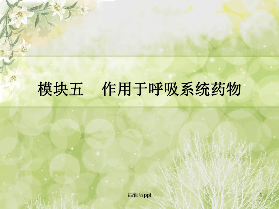 呼吸系统及造血系统用药课件.ppt_第1页