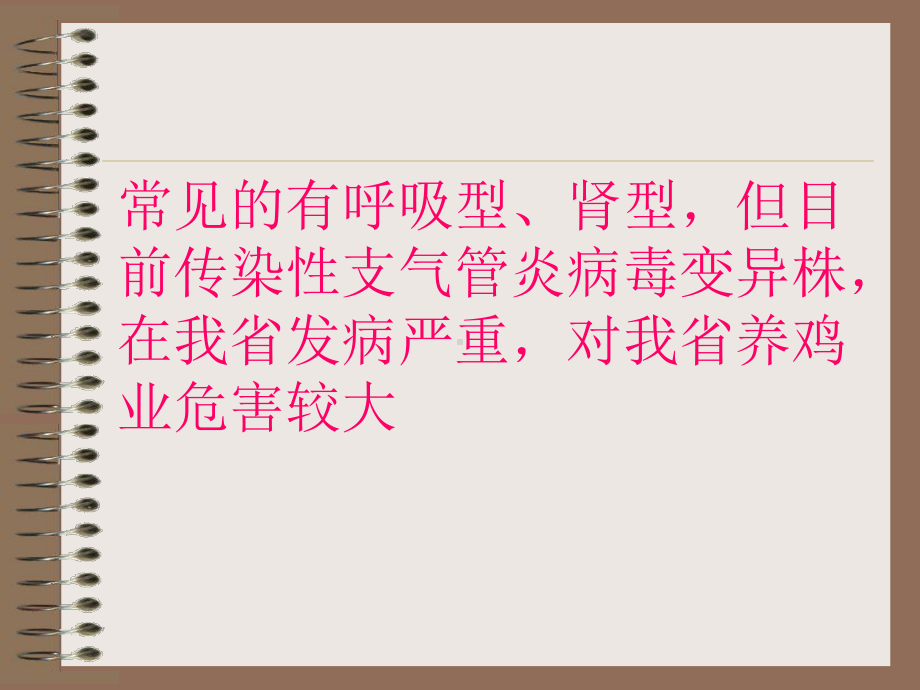 传染性支气管炎病毒变异株的预防与控制课件.ppt_第3页