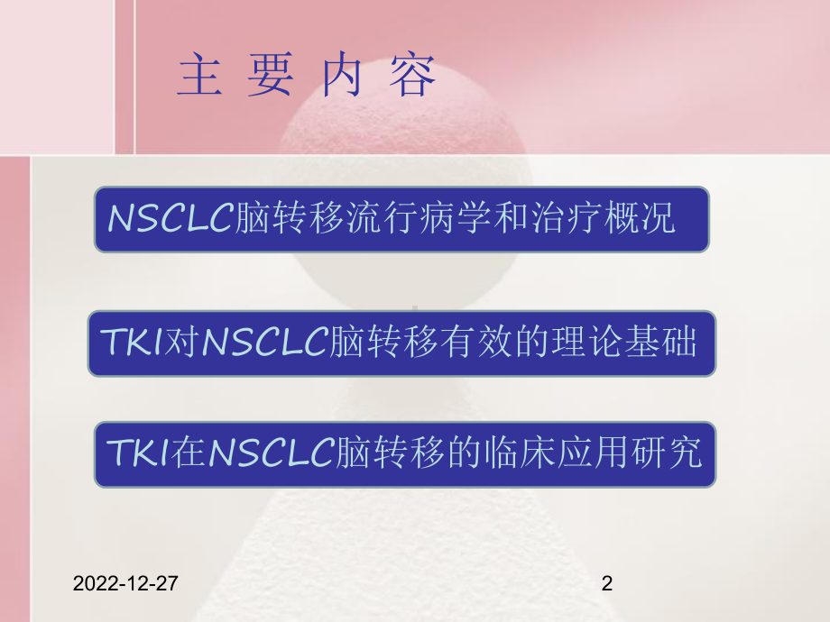 TKI在治疗脑转移中的应用课件.pptx_第2页