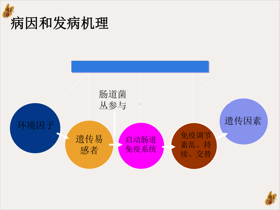 内科炎症性肠病第八课件.ppt_第2页