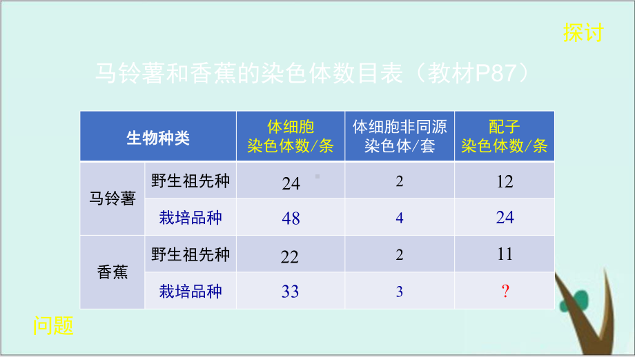 《染色体变异》人教版高中生物优秀课件1.pptx_第2页