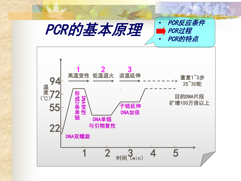 PCR的临床应用知识课件.ppt_第2页