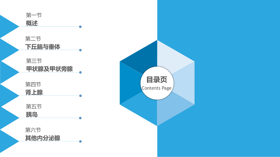 《正常人体学》第六章课件.pptx_第2页