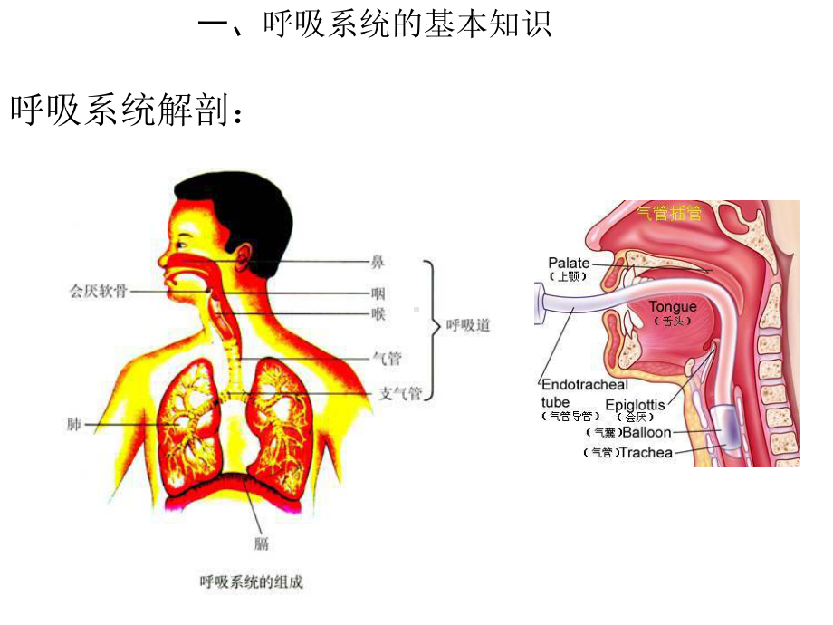 儿科呼吸机的应用及护理课件.ppt_第3页