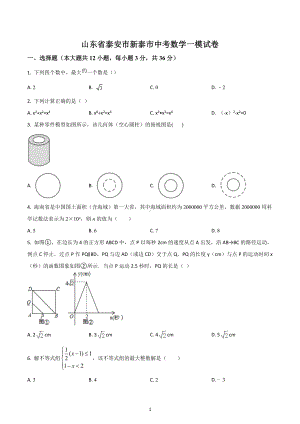 山东省泰安市新泰市 九年级中考一模试卷数学试题.docx