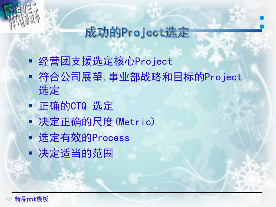 公司事业部PROJECT选定方法课件.pptx_第3页