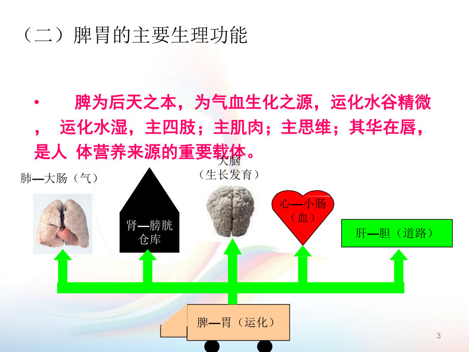 中医学在儿童保健中的应用-课件.pptx_第3页