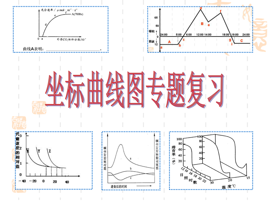 光合作用呼吸作用综合计算课件.ppt_第1页