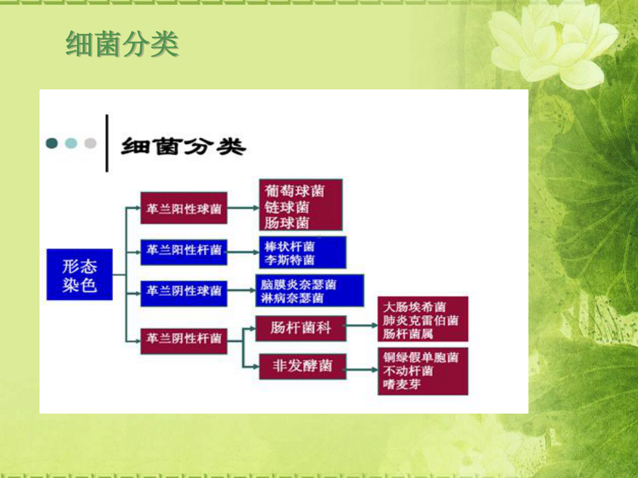 多重耐药革兰阴性杆菌血流感染课件.ppt_第3页