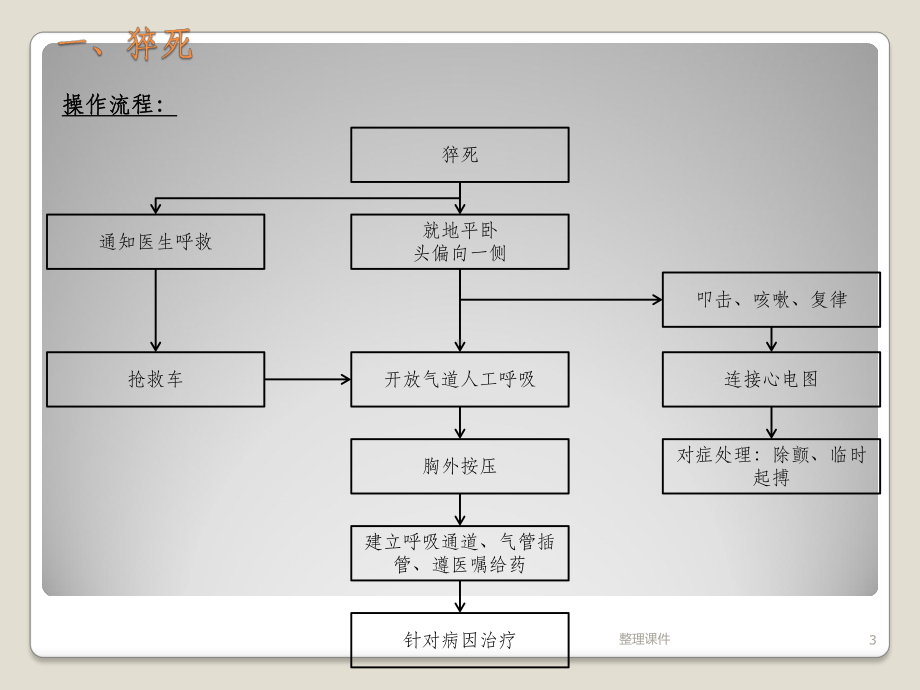 危急重症患者的病情观察与抢救流程课件.pptx_第3页