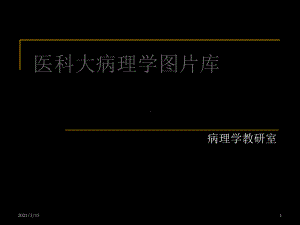 史上最全的病理学切片图片库课件.ppt