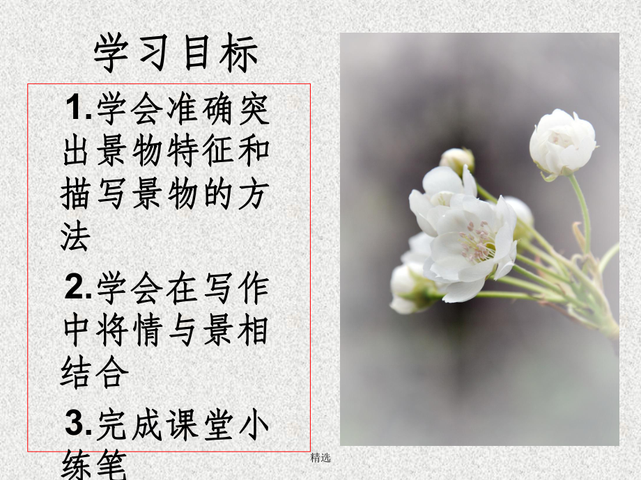 写作训练-环境描写课件.ppt_第3页