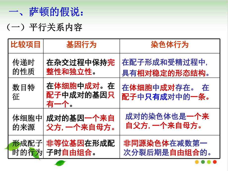 人教版《基因在染色体上》课件.ppt_第2页