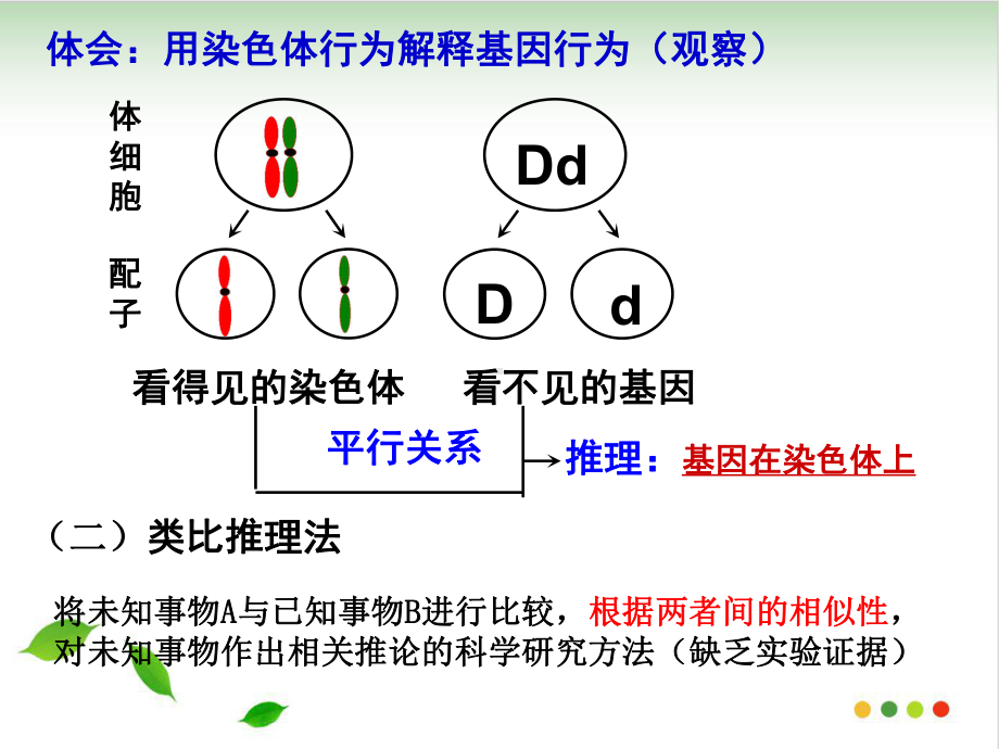 人教版《基因在染色体上》课件.ppt_第3页