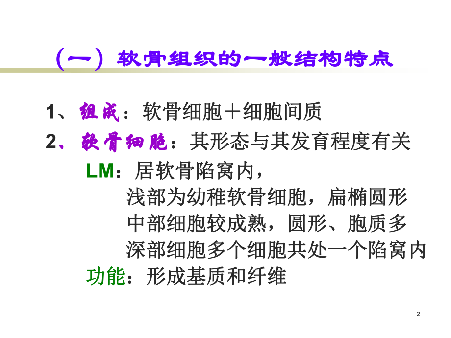 《软骨组织和软骨》课件.ppt_第2页
