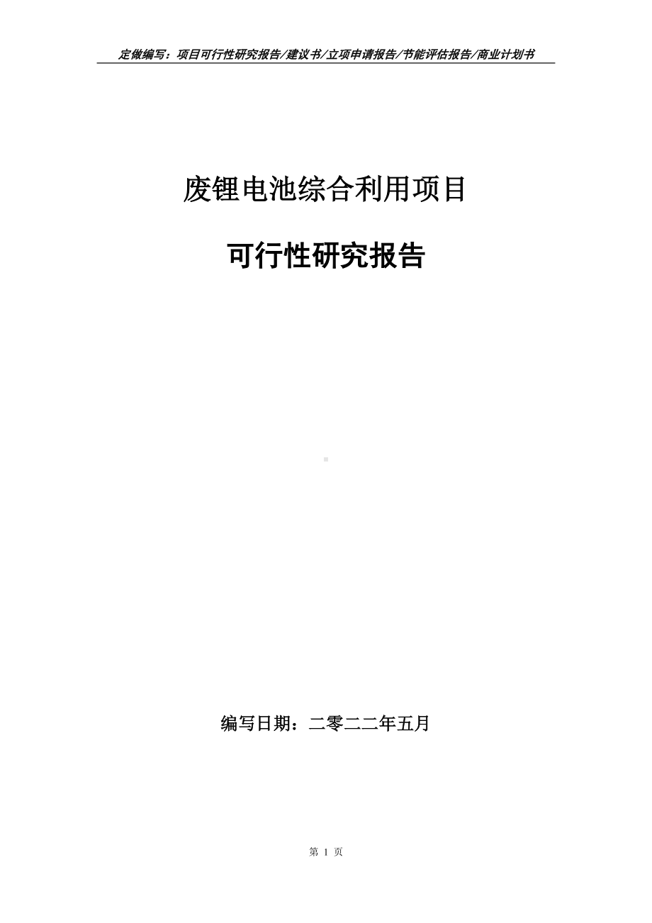 废锂电池综合利用项目可行性报告（写作模板）.doc_第1页