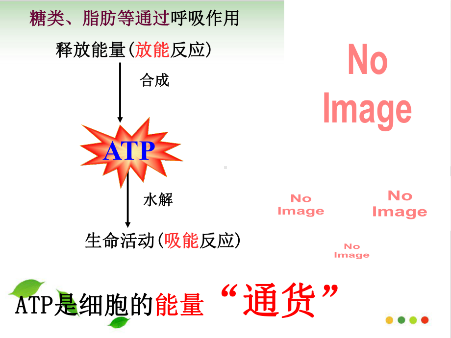 人教高中生物必修课件：ATP的主要来源细胞呼吸.pptx_第1页