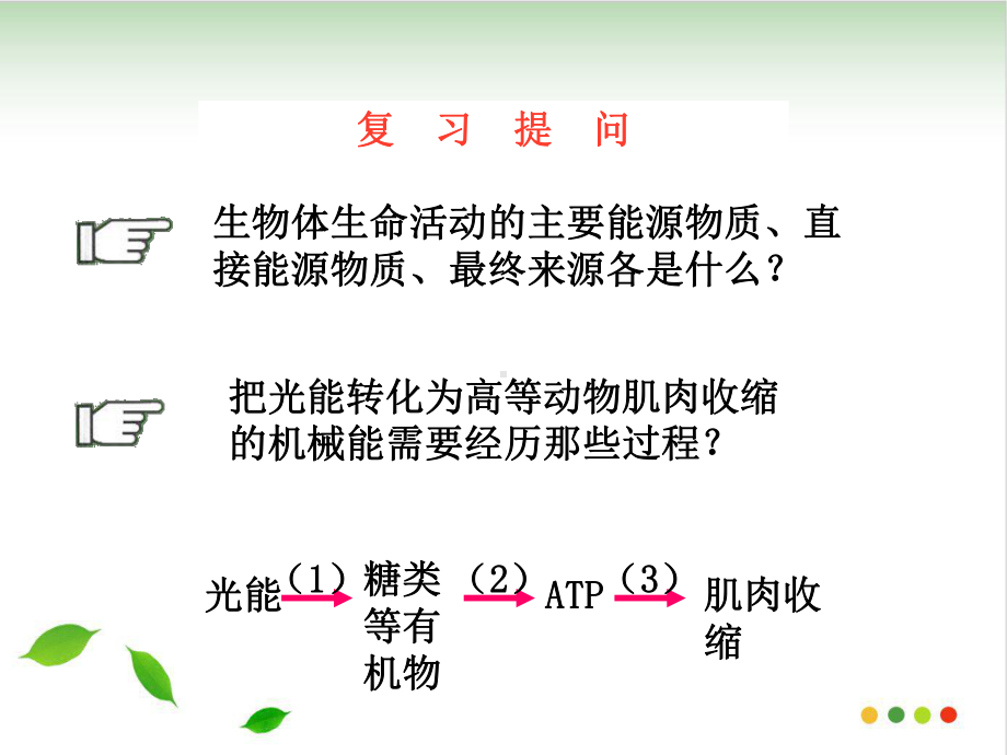 人教高中生物必修课件：ATP的主要来源细胞呼吸.pptx_第2页