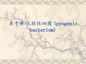 医学微生物学之化脓性细菌课件整理.ppt