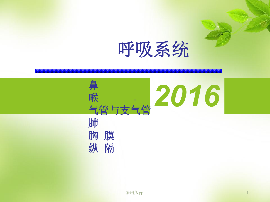 呼吸系统结构与功能课件.ppt_第1页