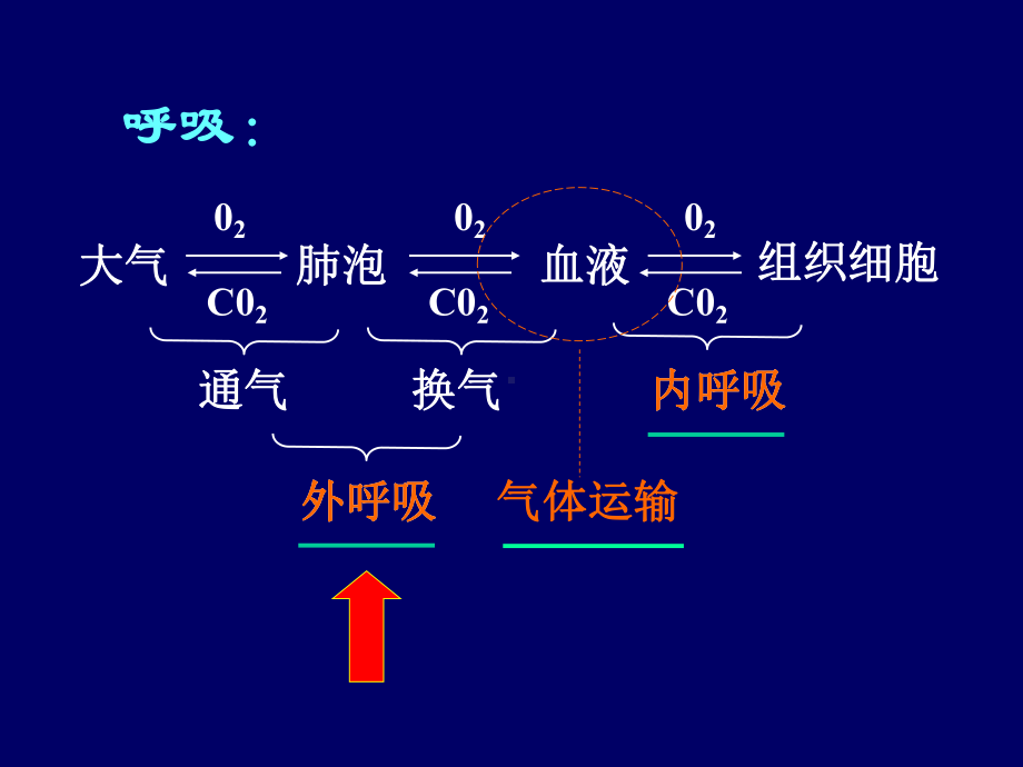 呼吸衰竭07医本科-课件.ppt_第3页