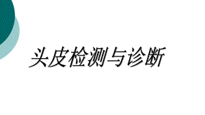 头皮检测与诊断课件.ppt