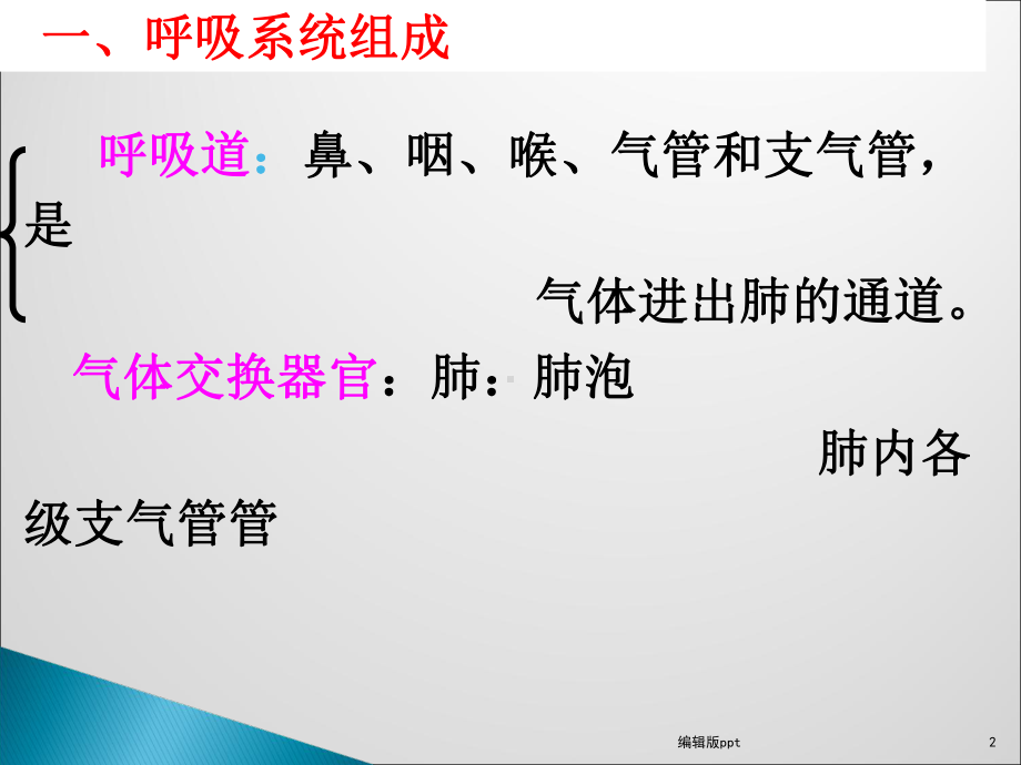 呼吸系统解剖与麻醉课件.ppt_第2页