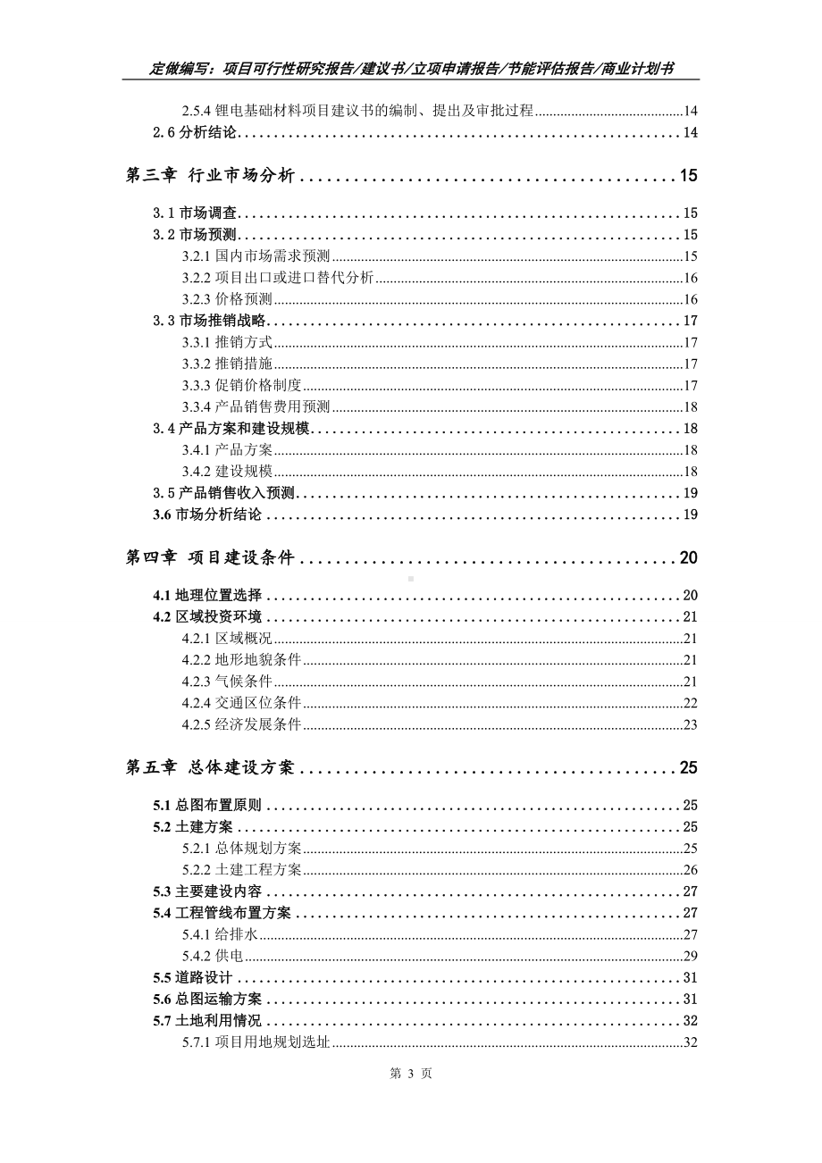 锂电基础材料项目可行性报告（写作模板）.doc_第3页