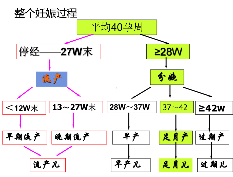 分娩期操作要点课件.ppt_第3页