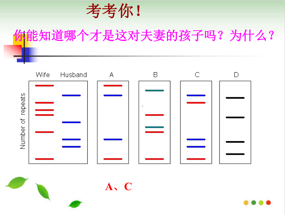 人教高中生物必修课件：遗传信息携带者-核酸》.pptx_第2页