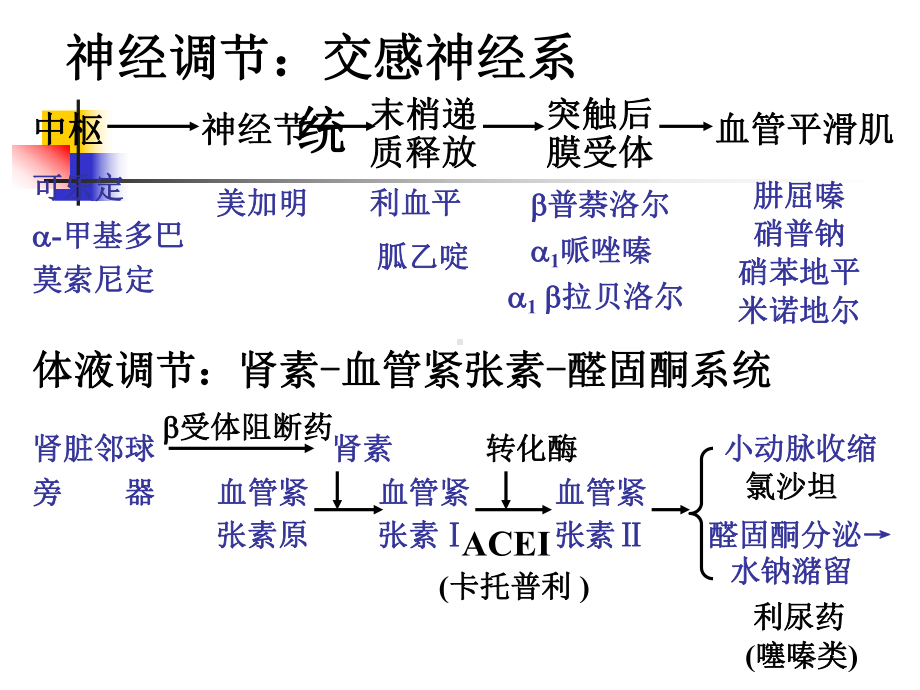 二十抗高血压药课件.pptx_第2页