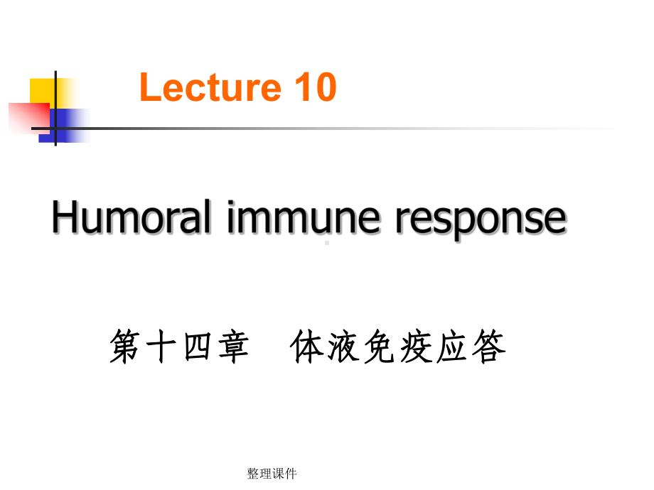 《医学免疫学教学》10-humoral-immunity课件.ppt（纯ppt,可能不含音视频素材）_第1页