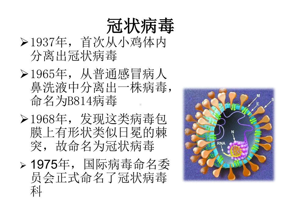 中东呼吸综合征的防控-1课件.ppt_第2页