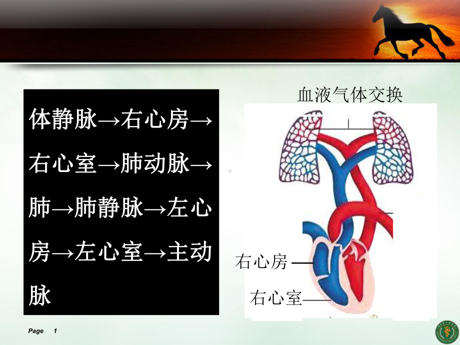 内科学肺心病授课课件.pptx_第1页