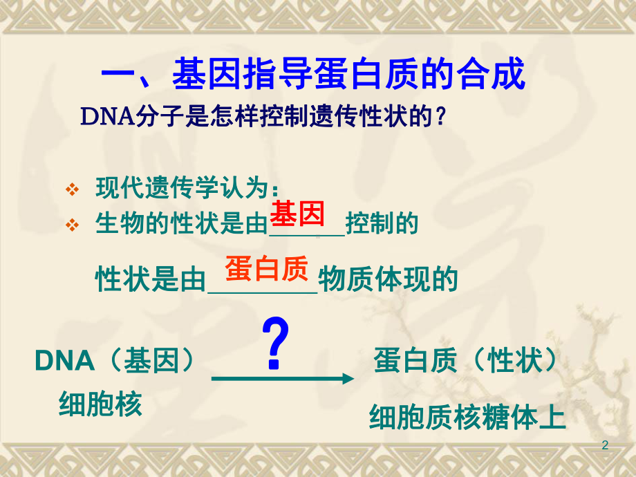 DNA的转录和翻译(课堂)课件.ppt_第2页