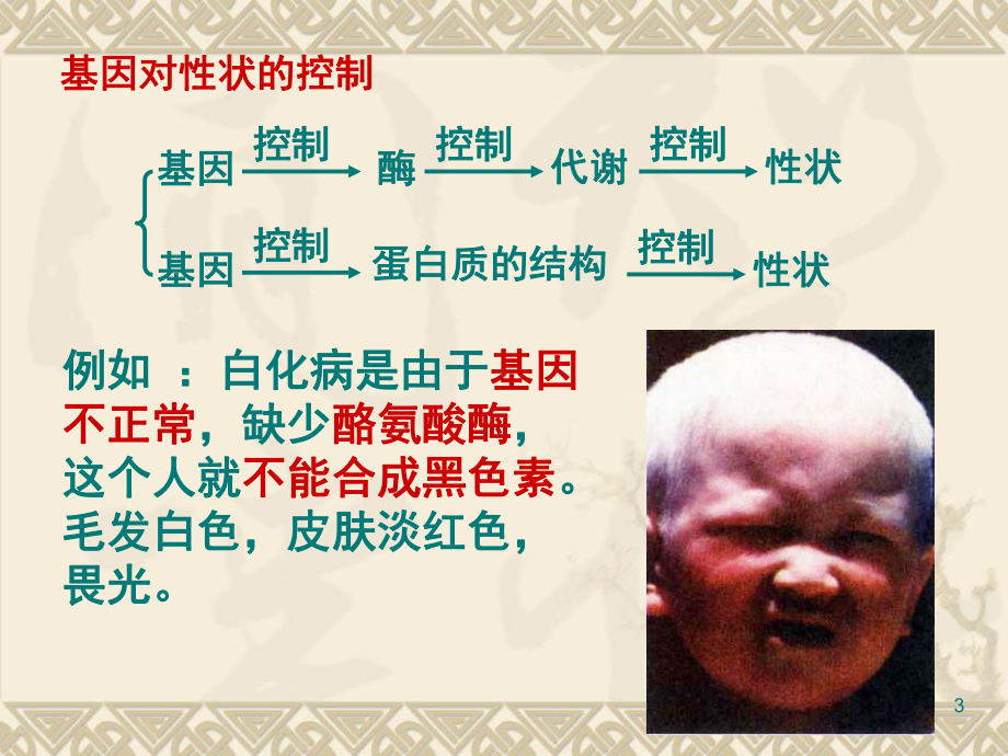 DNA的转录和翻译(课堂)课件.ppt_第3页