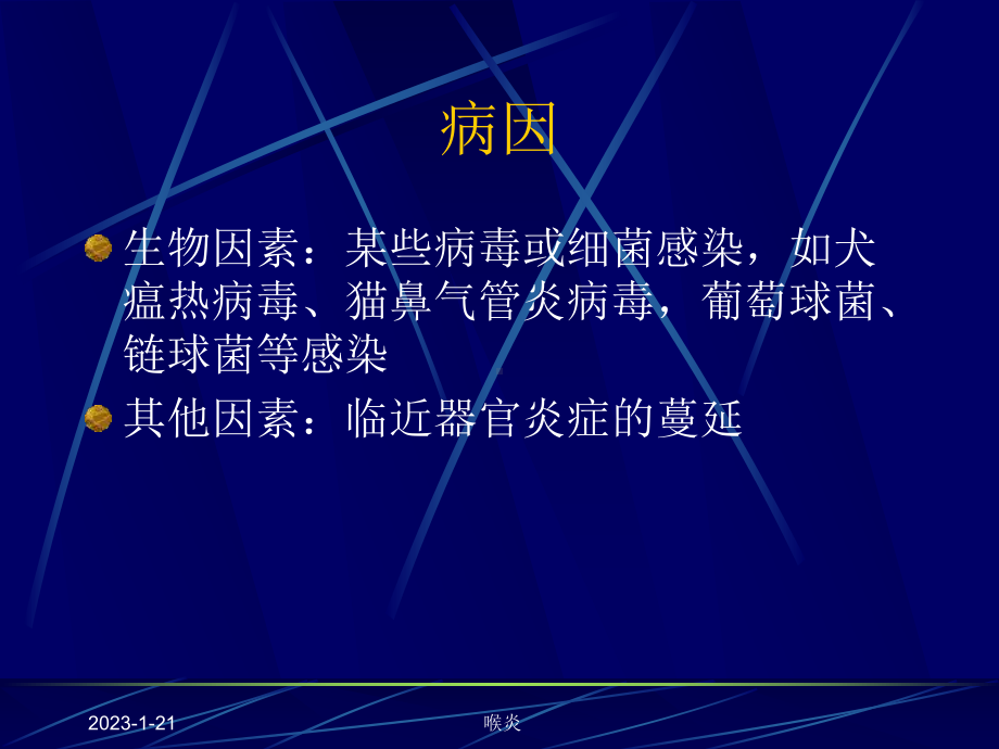 呼吸系统和心血管系统疾病课件.ppt_第3页