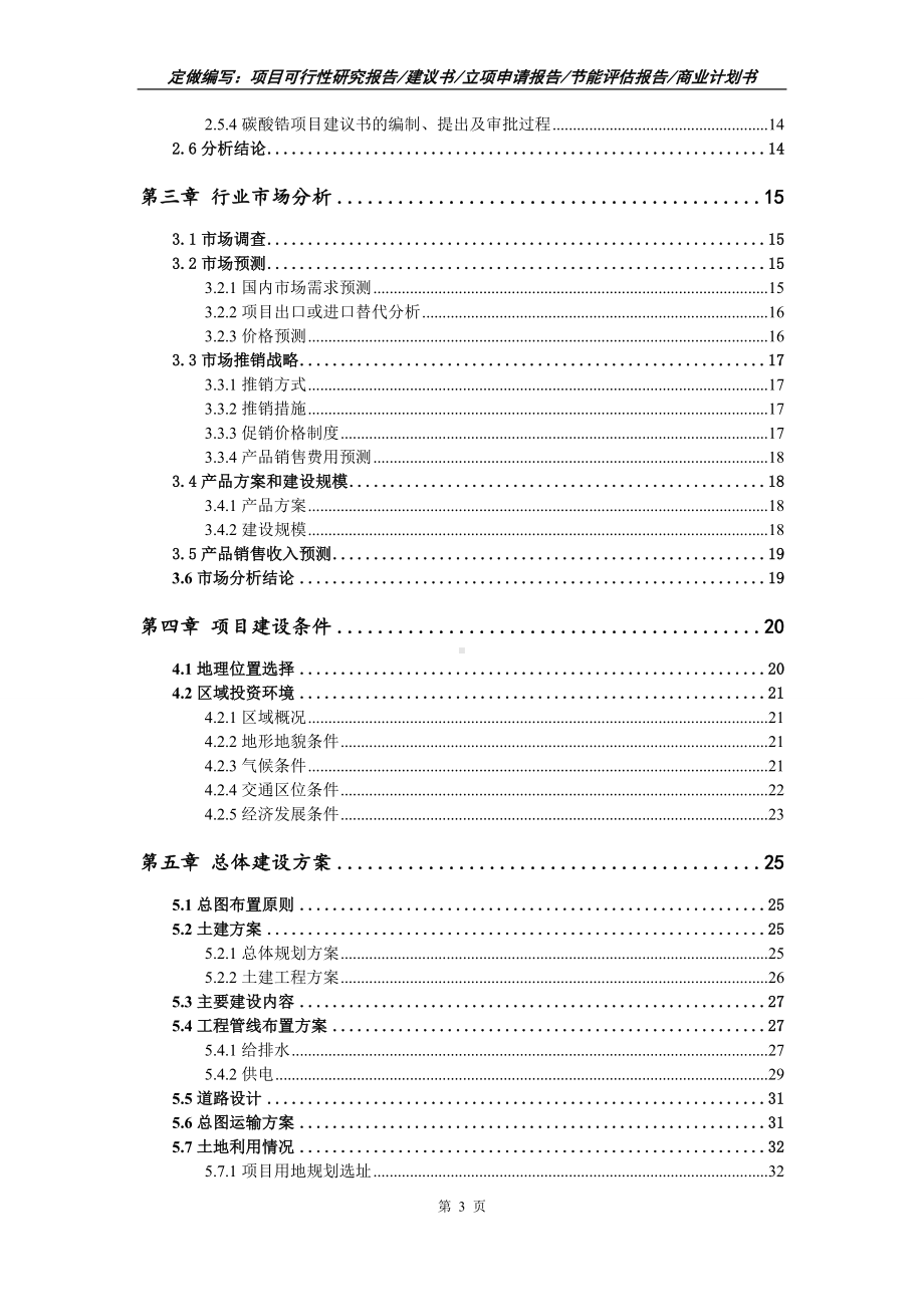 碳酸锆项目可行性报告（写作模板）.doc_第3页