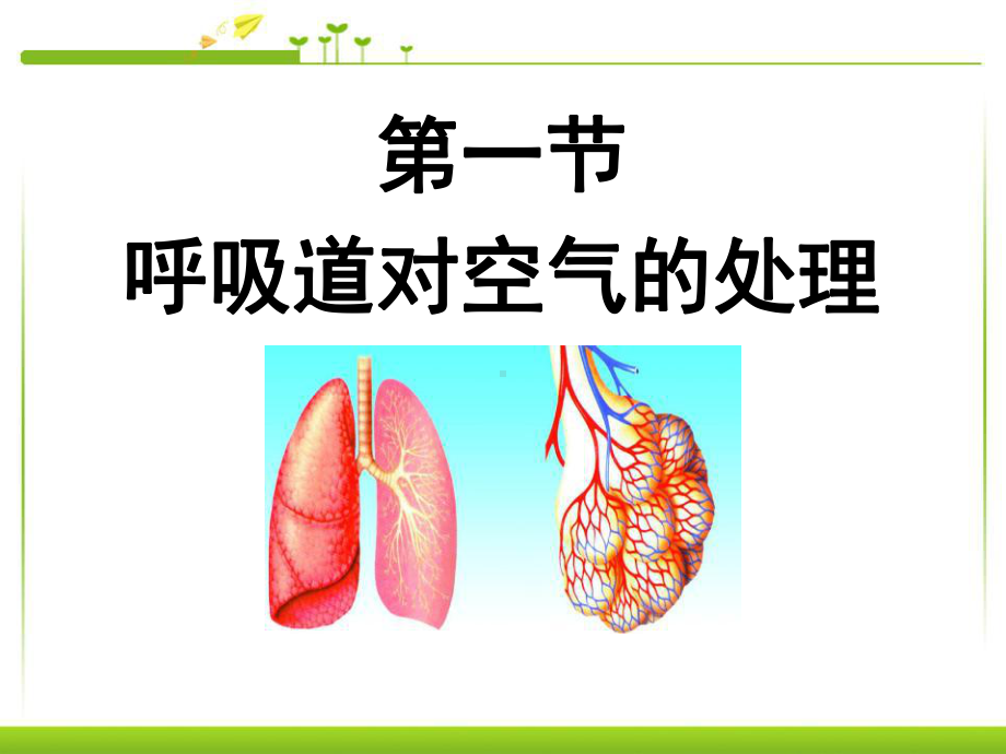 《呼吸道对空气的处理》人体的呼吸课件5-.ppt_第1页